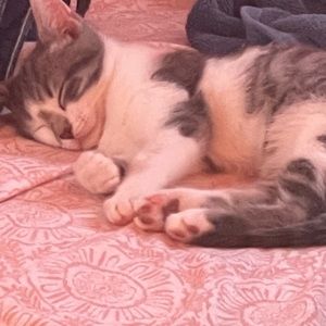 Meet your Posher, Zeena